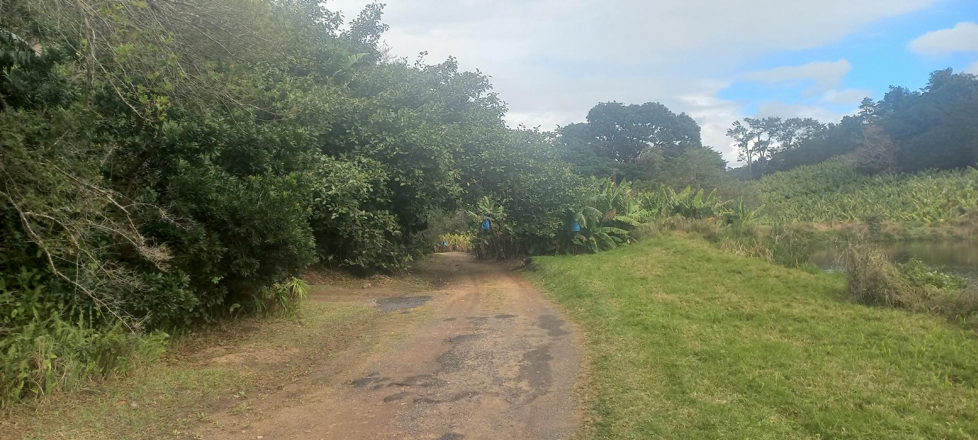  of property in Southbroom