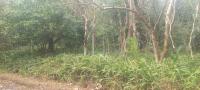  of property in Southbroom