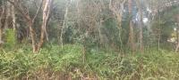  of property in Southbroom