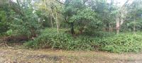  of property in Southbroom