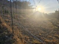  of property in Cashan