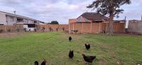 of property in Albertinia