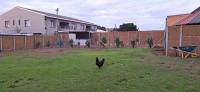  of property in Albertinia
