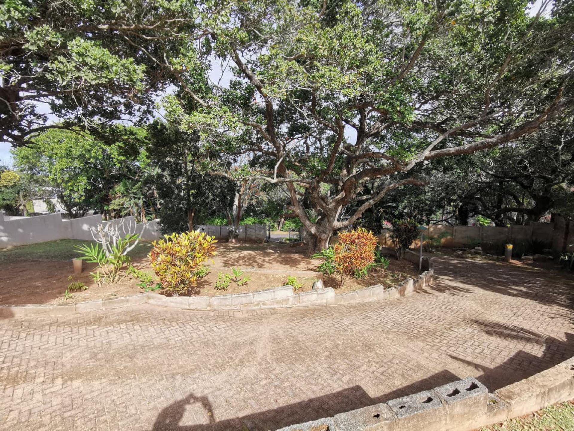  of property in Shelly Beach