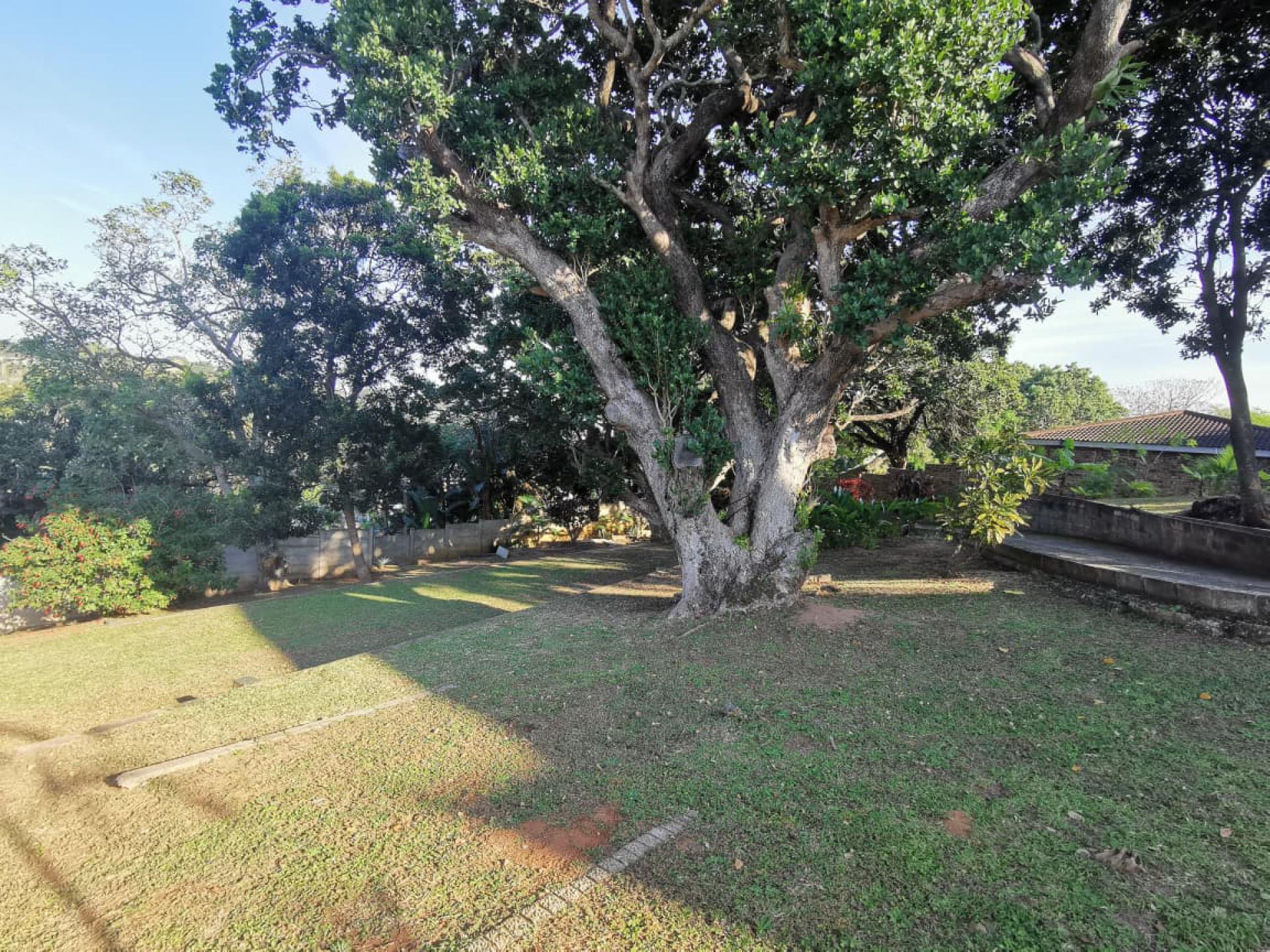  of property in Shelly Beach