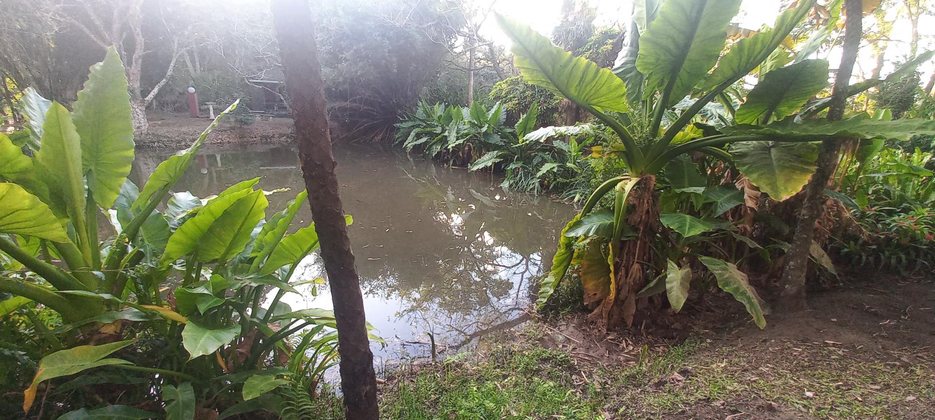  of property in Uvongo