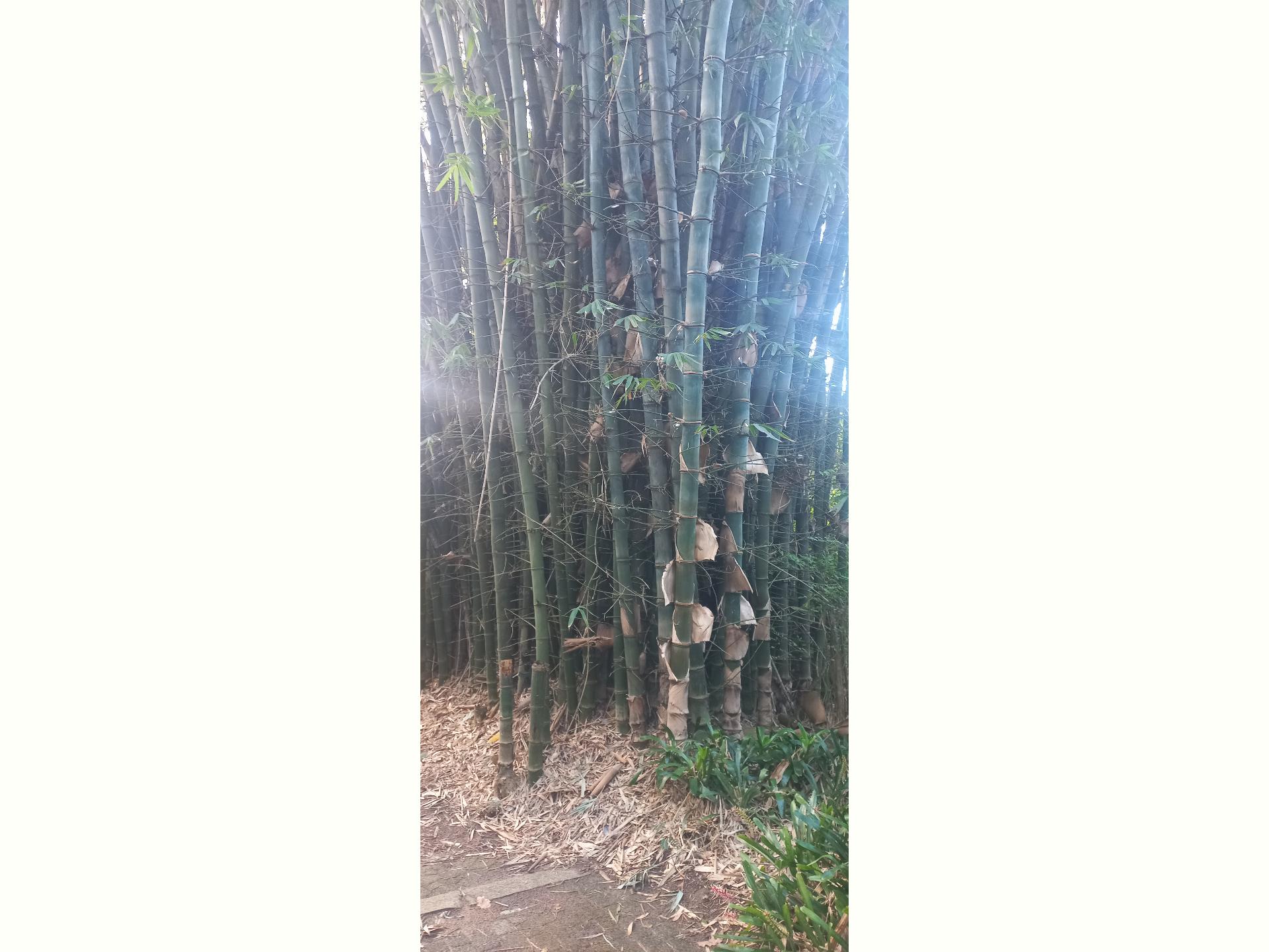 of property in Uvongo