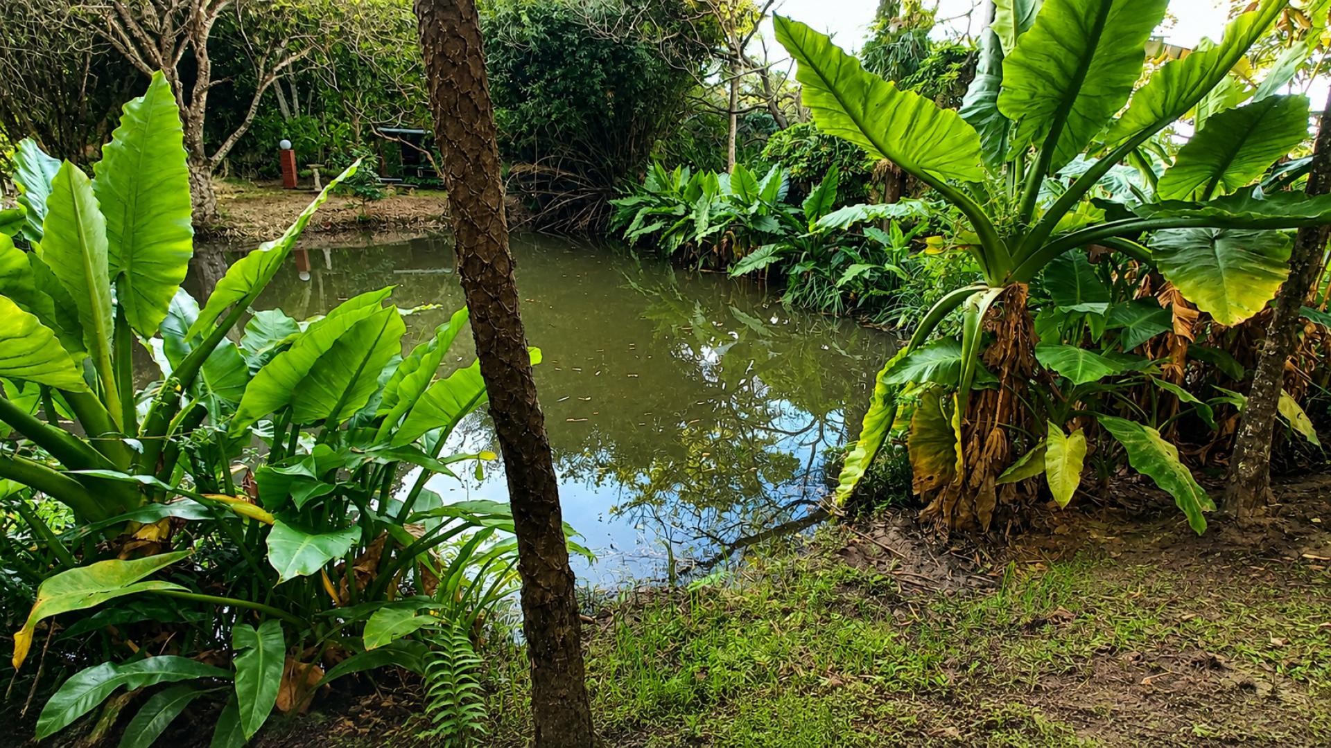  of property in Uvongo
