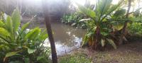 of property in Uvongo