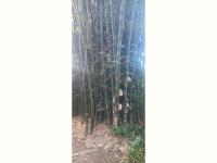  of property in Uvongo
