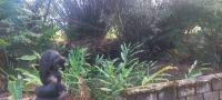  of property in Uvongo
