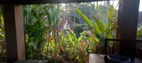  of property in Uvongo