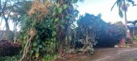  of property in Uvongo