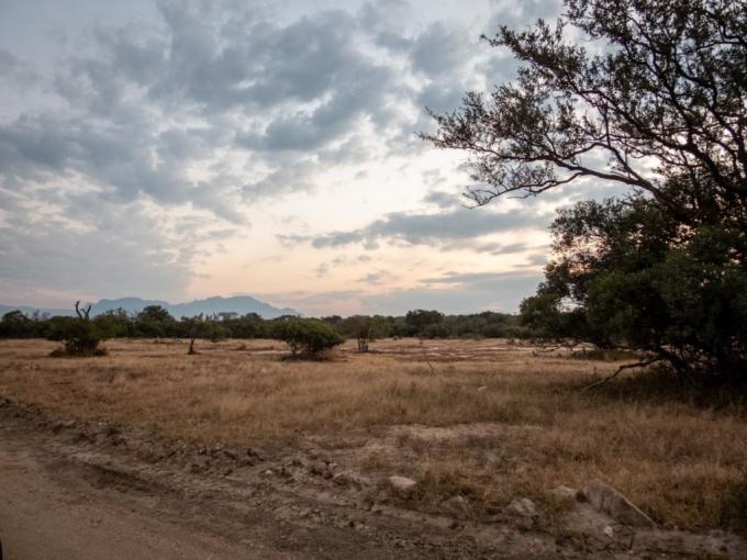 Land for Sale For Sale in Hoedspruit - MR720237