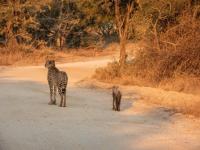  of property in Hoedspruit