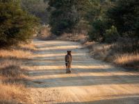  of property in Hoedspruit