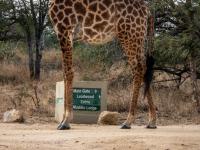  of property in Hoedspruit