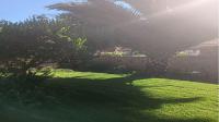 Garden of property in Randgate