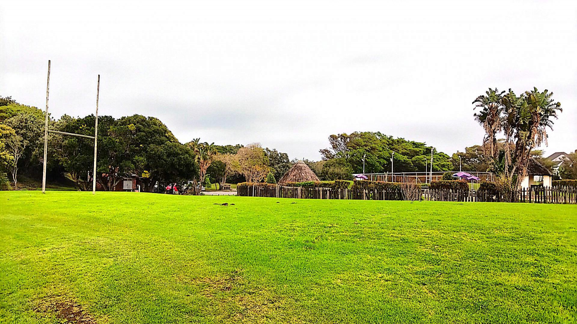 Backyard of property in East London