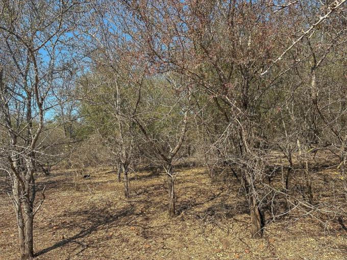 Land for Sale For Sale in Marloth Park - MR720672