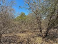  of property in Marloth Park