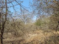  of property in Marloth Park