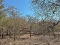  of property in Marloth Park