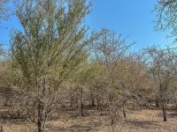  of property in Marloth Park