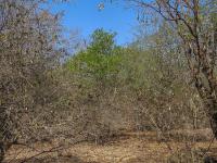  of property in Marloth Park
