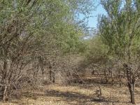  of property in Marloth Park