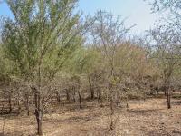  of property in Marloth Park