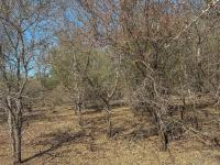  of property in Marloth Park