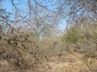  of property in Marloth Park