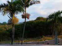  of property in Winklespruit