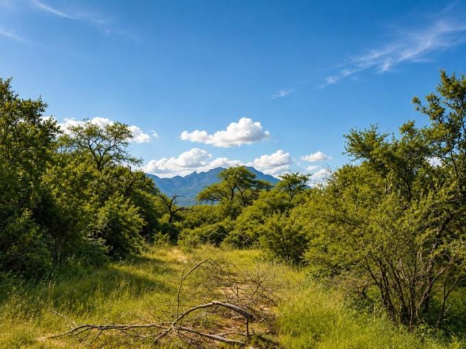 Land for Sale For Sale in Hoedspruit - MR720821
