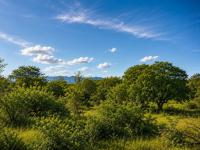  of property in Hoedspruit