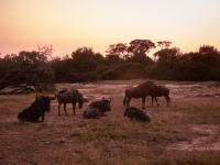  of property in Hoedspruit