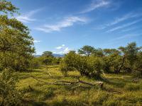  of property in Hoedspruit