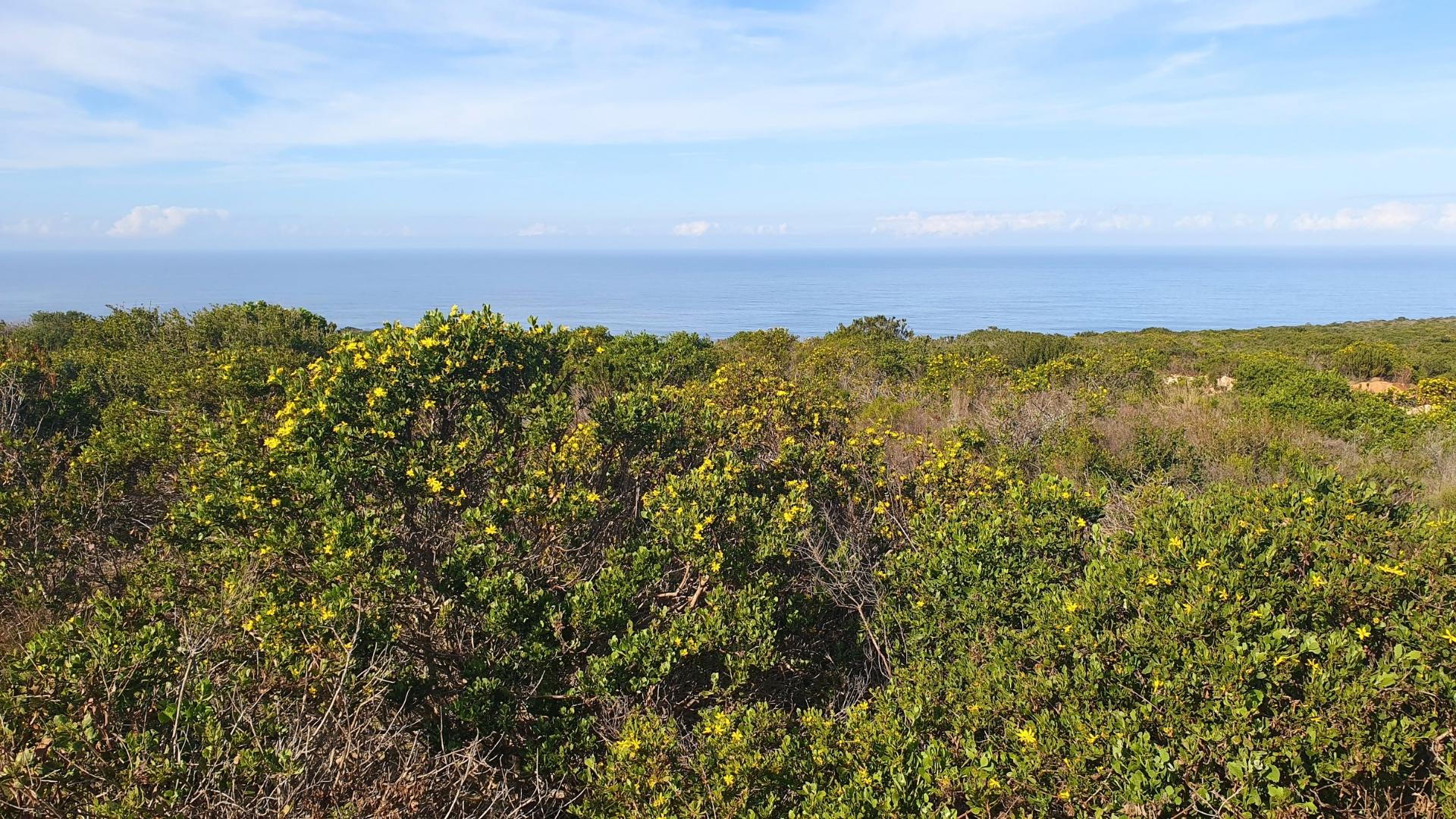  of property in Mossel Bay