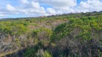  of property in Mossel Bay