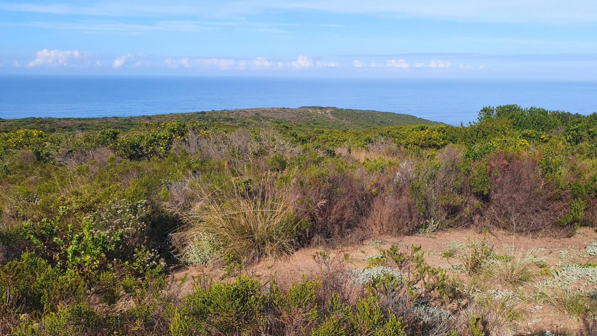  of property in Mossel Bay