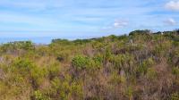  of property in Mossel Bay