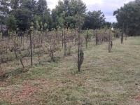  of property in Henley-on-Klip