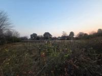  of property in Henley-on-Klip