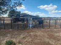  of property in Bothasgeluk AH