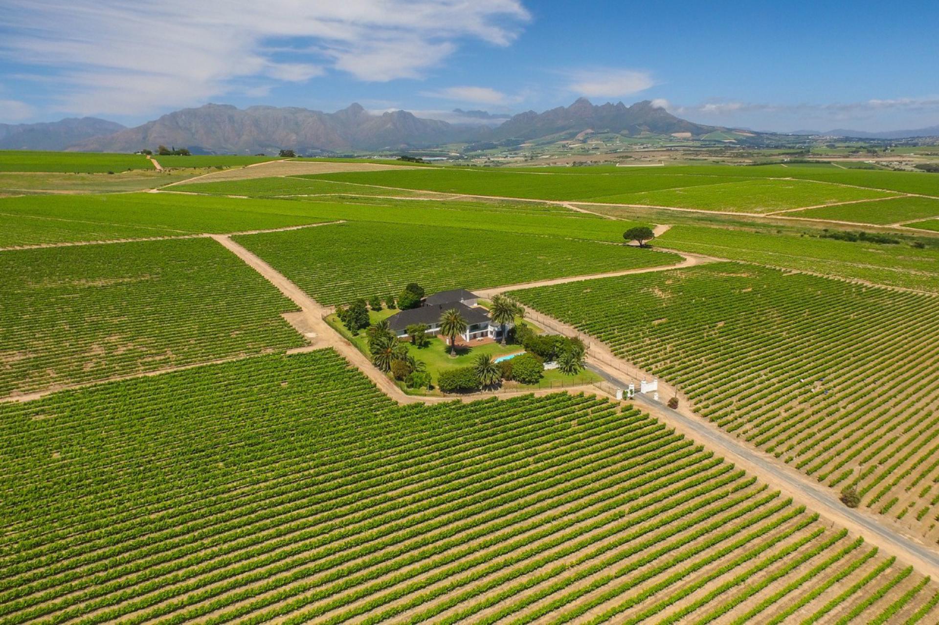  of property in Stellenbosch Farms