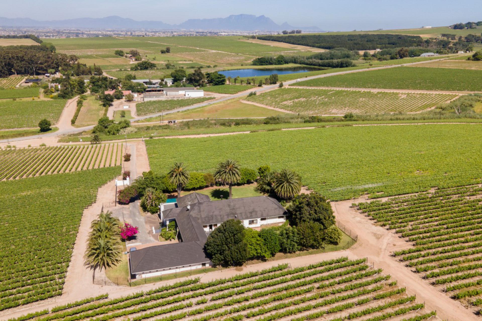  of property in Stellenbosch Farms