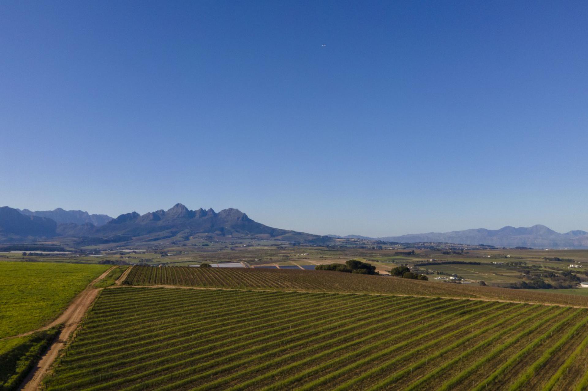  of property in Stellenbosch Farms