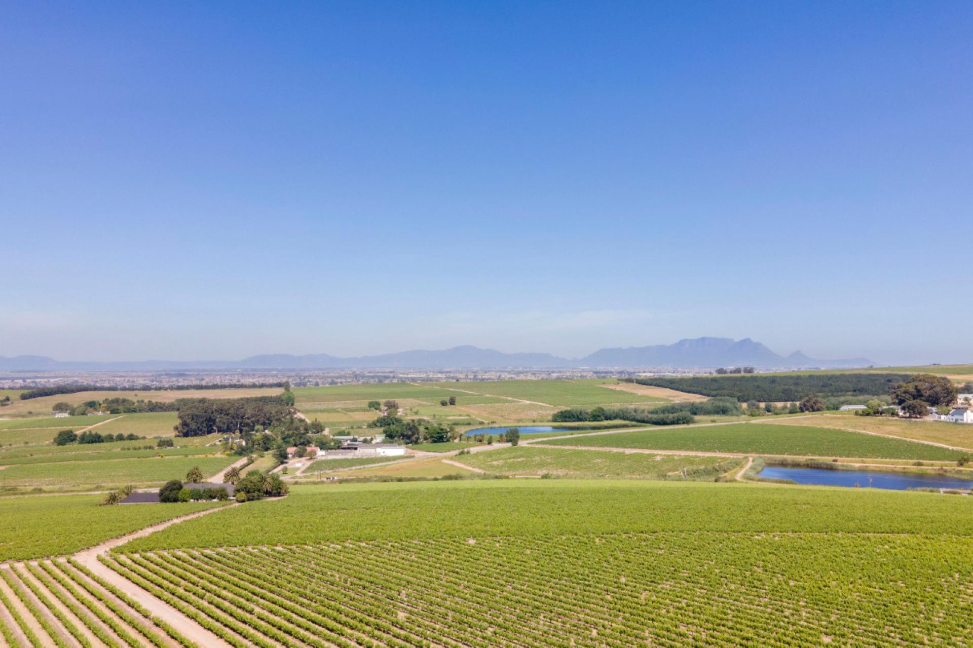  of property in Stellenbosch Farms