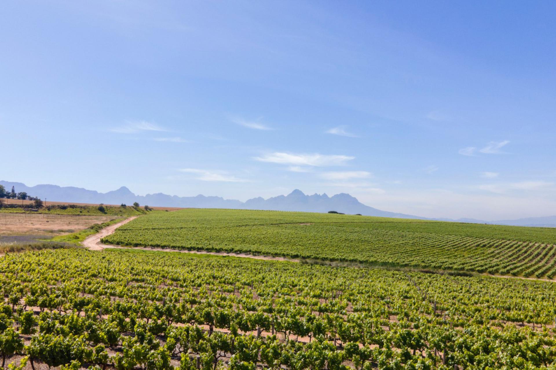  of property in Stellenbosch Farms